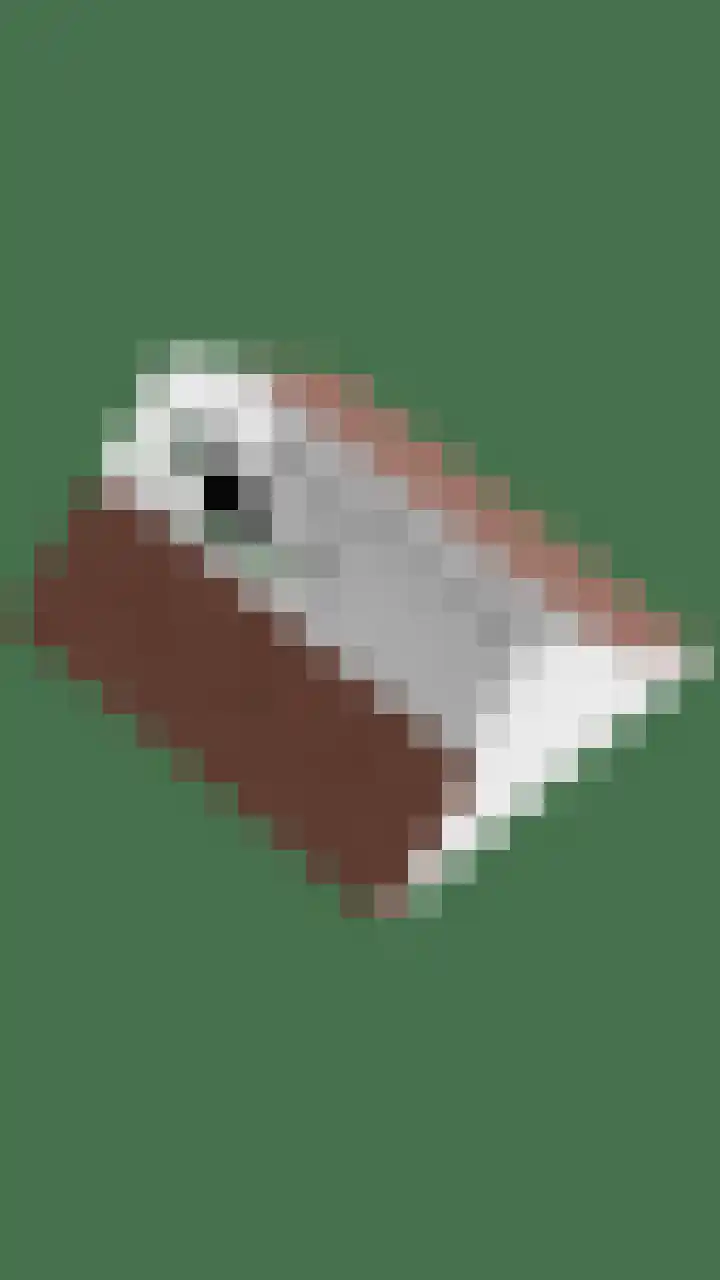 Ypeloweg 2 d Enter thumbnail 61