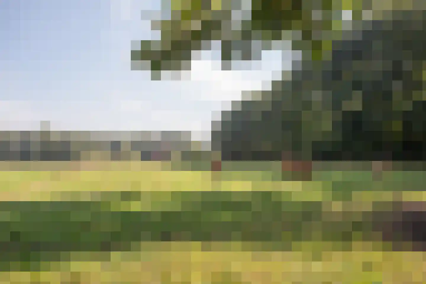 Ypeloweg 20 Wierden thumbnail 129