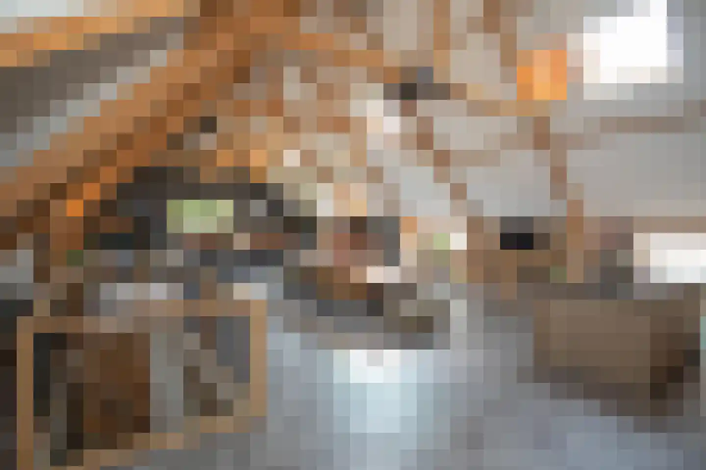 Ypeloweg 20 Wierden thumbnail 15