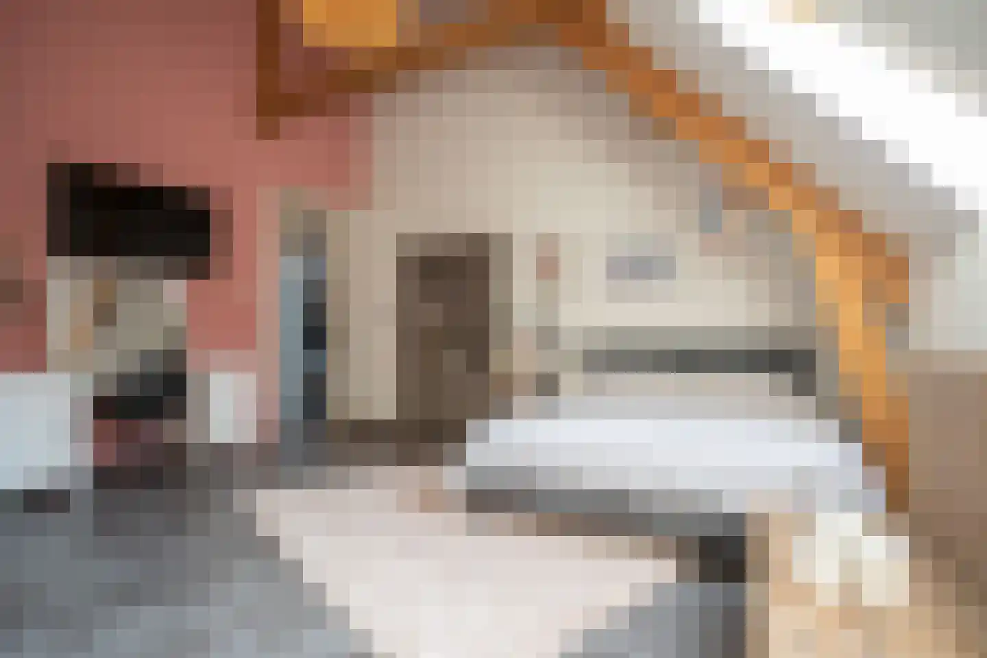 Ypeloweg 20 Wierden thumbnail 35