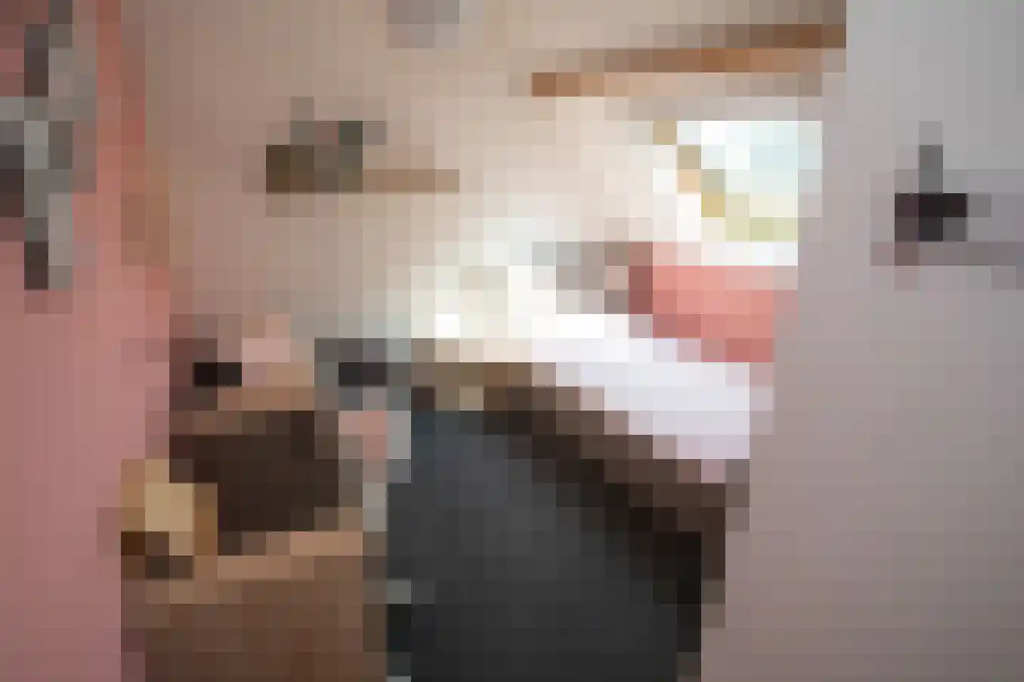 Ypeloweg 20 Wierden thumbnail 41