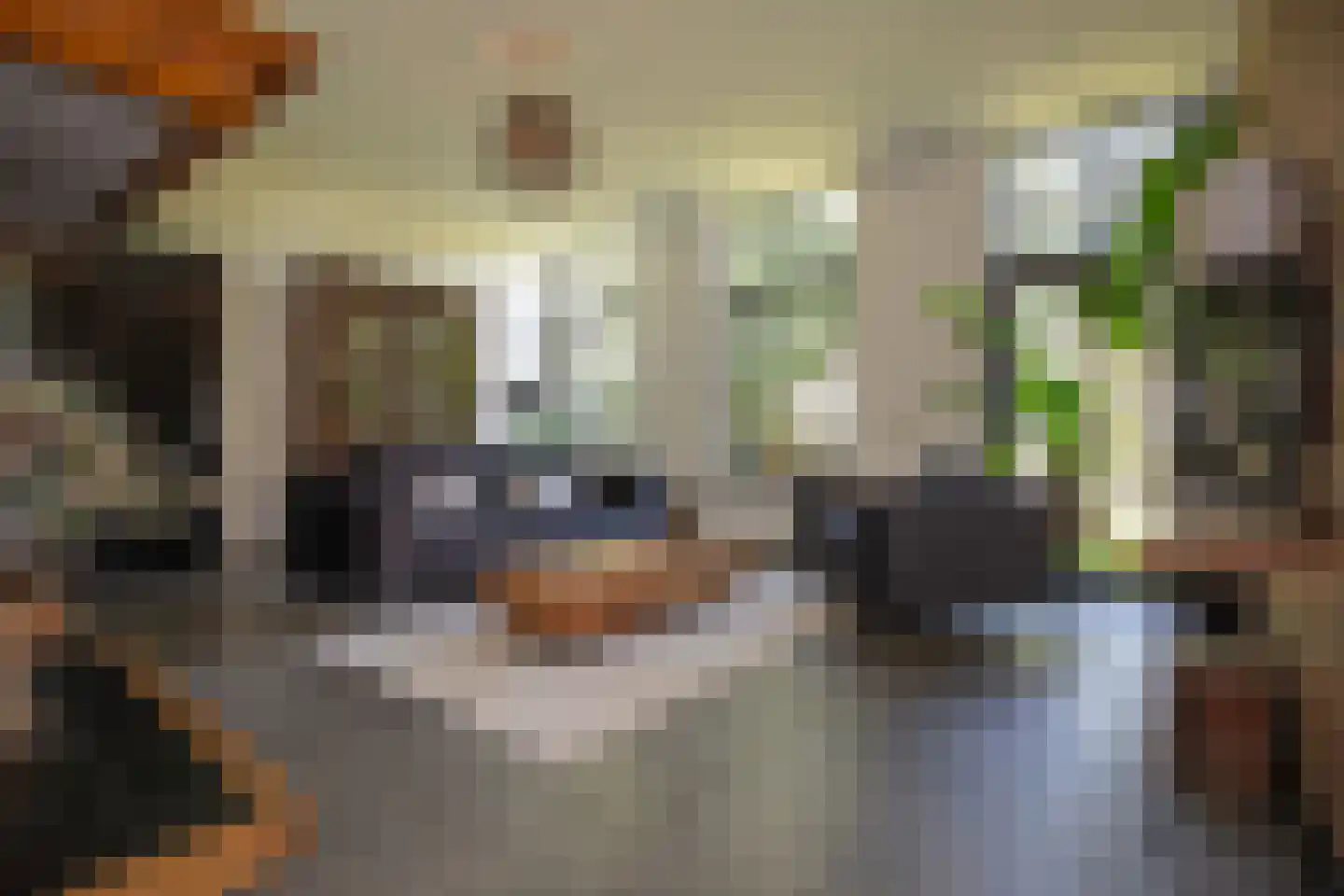 Ypeloweg 20 Wierden thumbnail 58