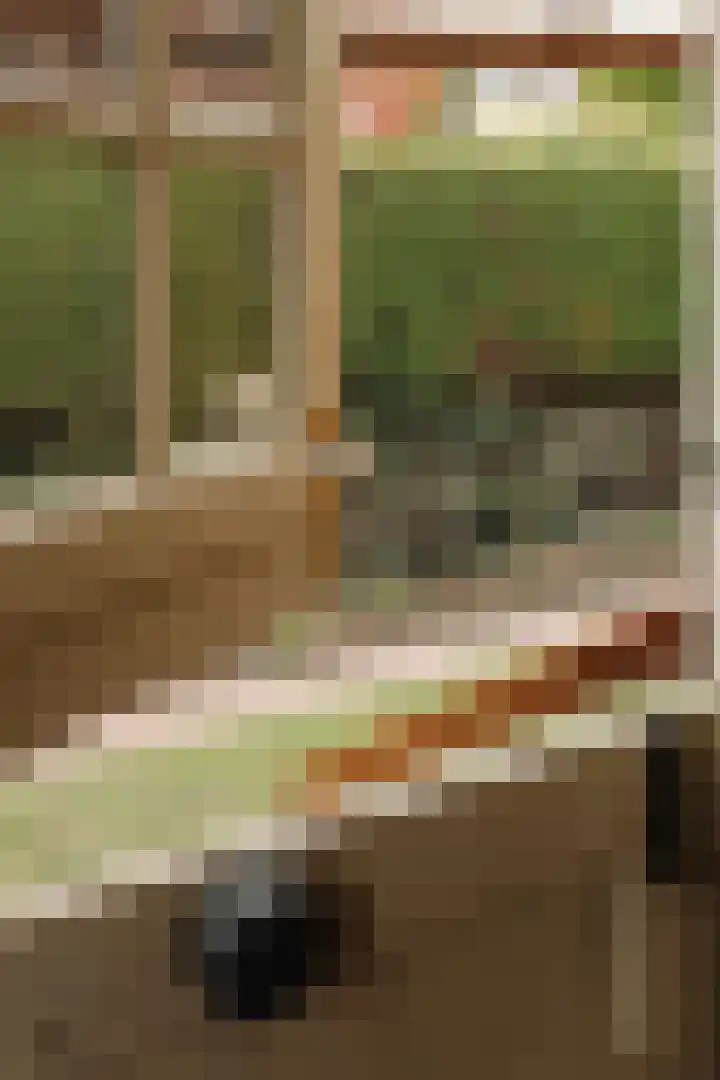 Ypendael 12 Baarn thumbnail 15