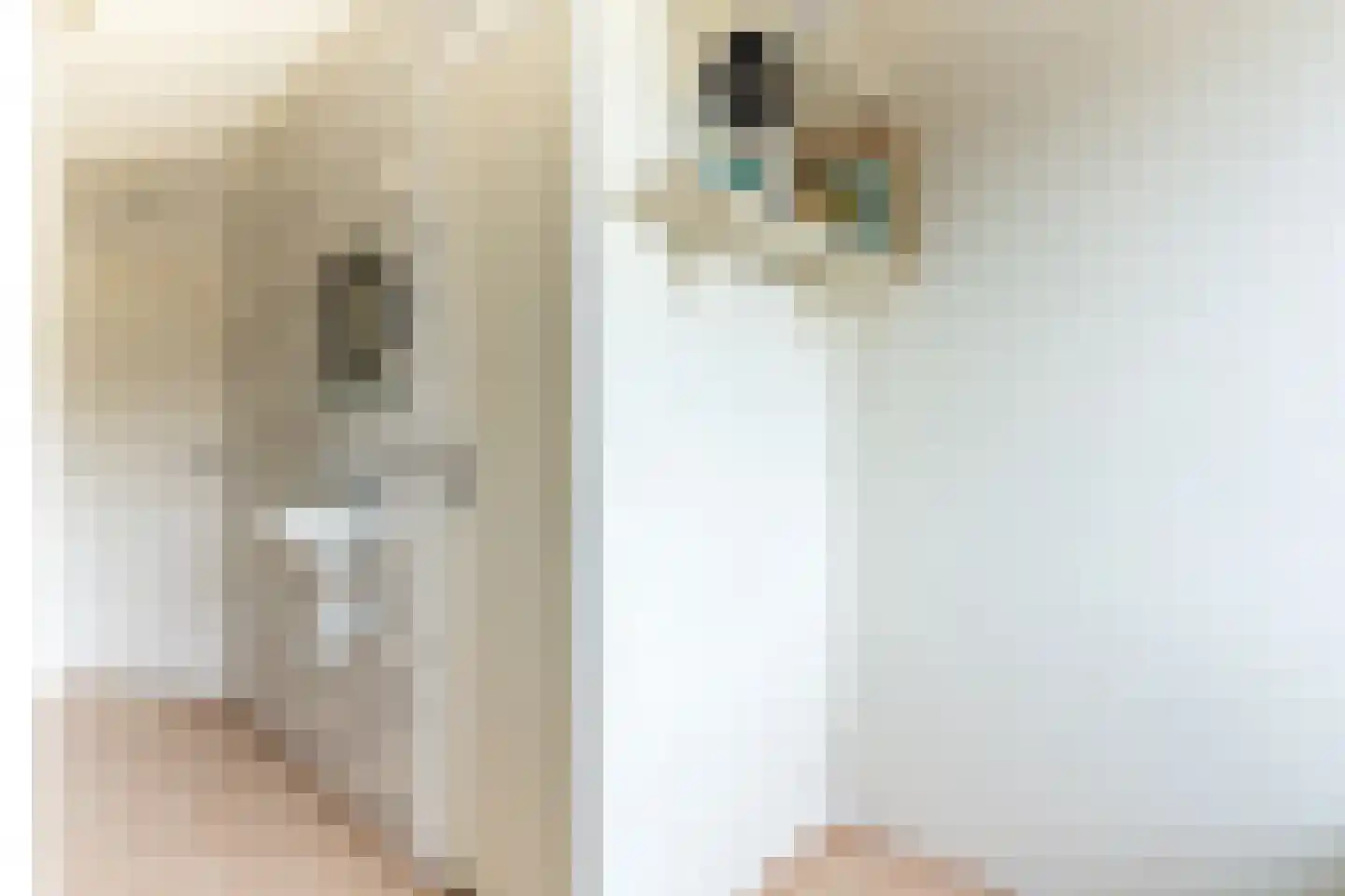 Ypendael 12 Baarn thumbnail 20