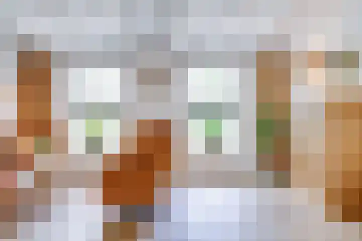 Ypendael 6 Baarn thumbnail 11