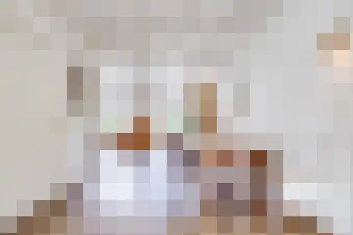 Ypendael 6 Baarn thumbnail 13