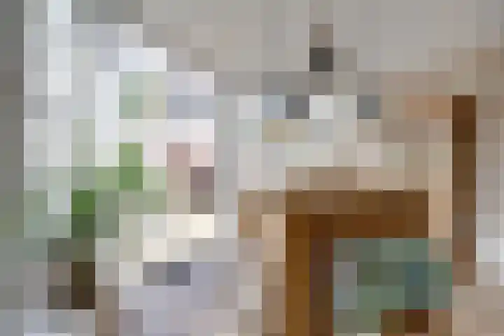 Ypendael 6 Baarn thumbnail 24