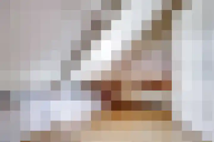 Ypendael 6 Baarn thumbnail 47