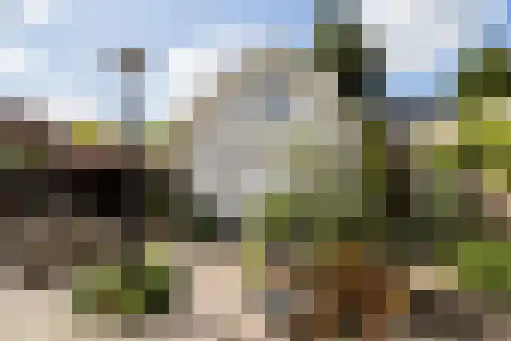 Ypendael 6 Baarn thumbnail 48