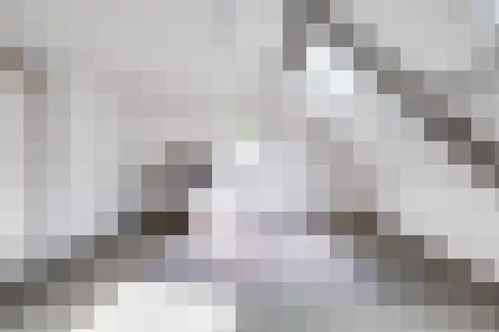 Ypendael 6 Baarn thumbnail 55