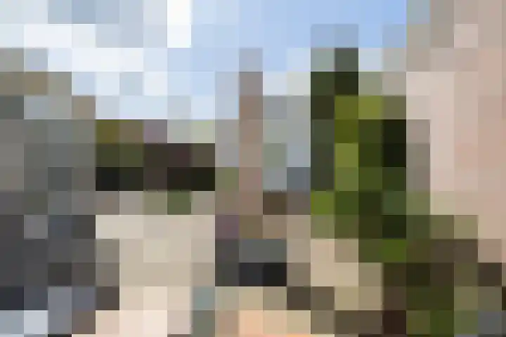 Ypendael 6 Baarn thumbnail 6