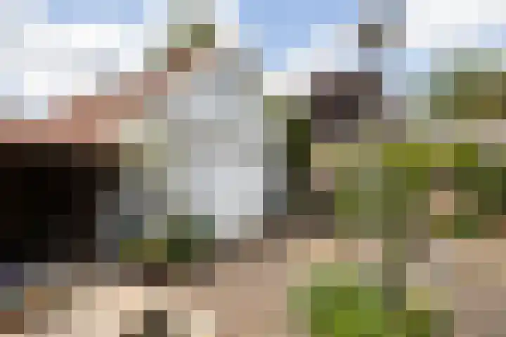 Ypendael 6 Baarn thumbnail 63