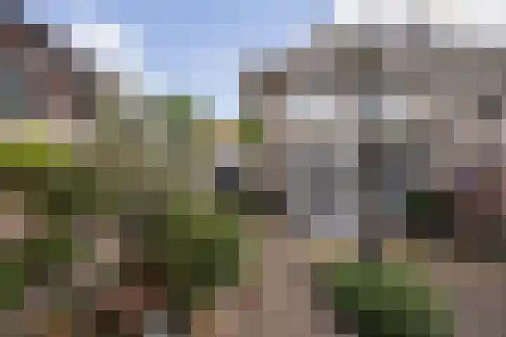 Ypendael 6 Baarn thumbnail 64