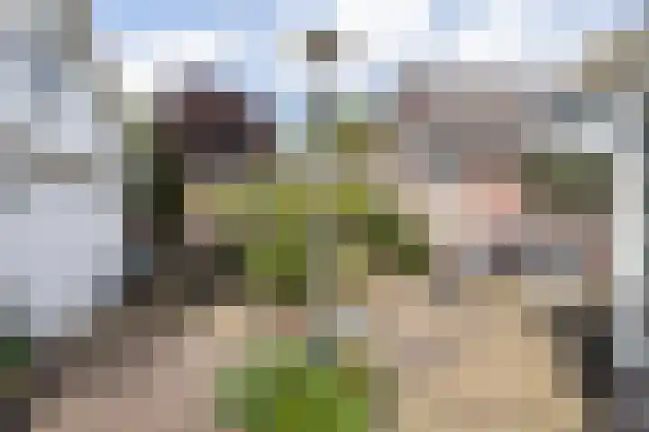 Ypendael 6 Baarn thumbnail 65