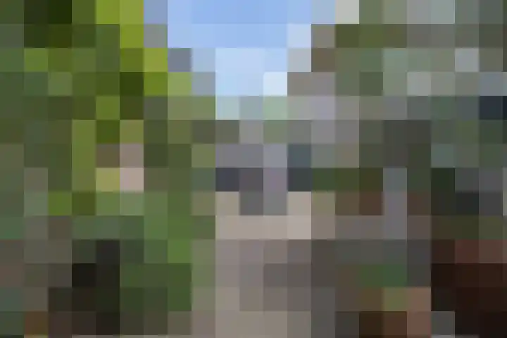 Ypendael 6 Baarn thumbnail 67