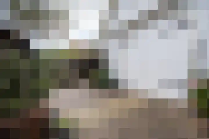 Ypendael 6 Baarn thumbnail 74