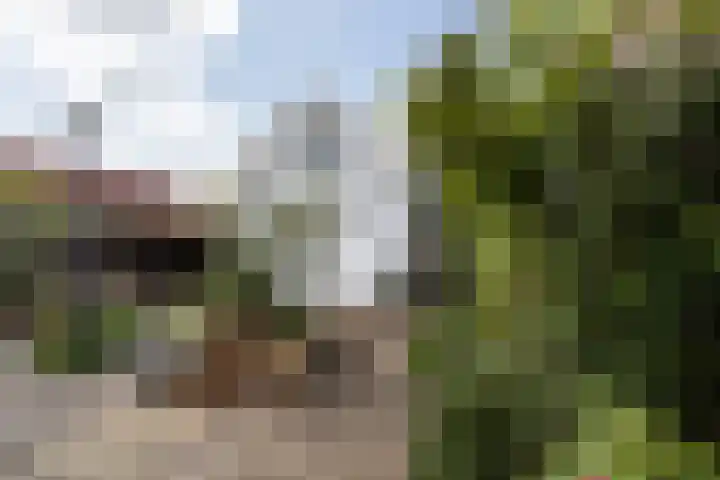 Ypendael 6 Baarn thumbnail 75