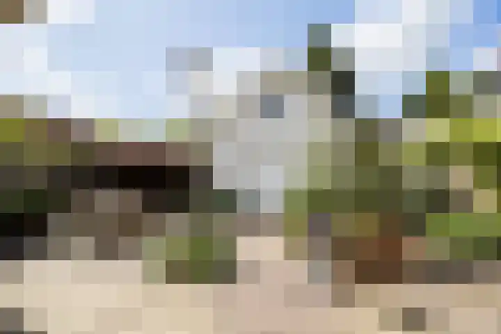 Ypendael 6 Baarn thumbnail 76