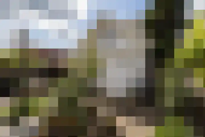 Ypendael 6 Baarn thumbnail 78