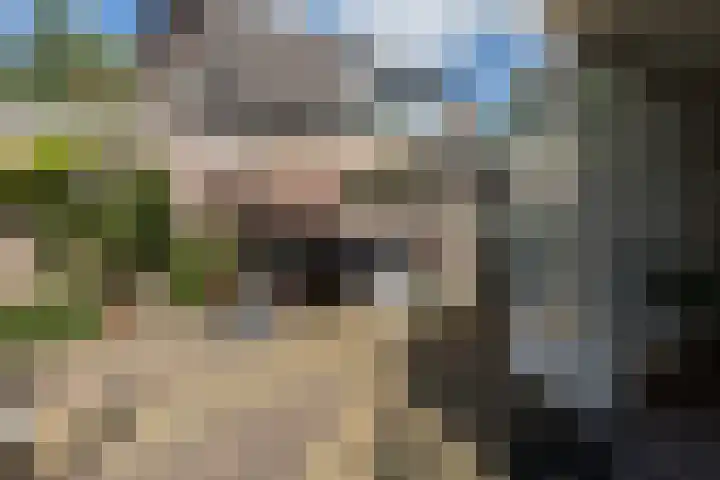 Ypendael 6 Baarn thumbnail 81