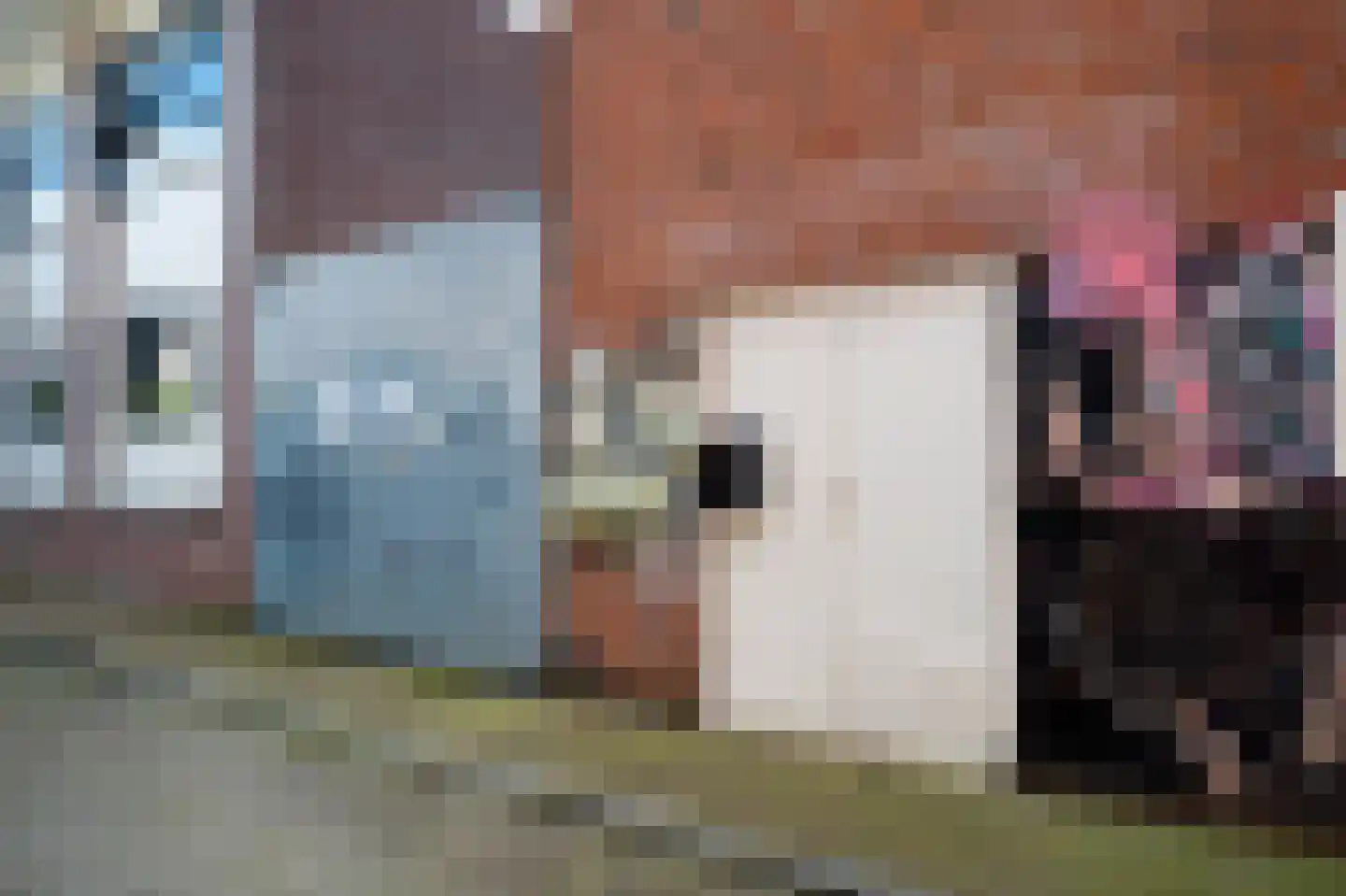 Ypenmolendrift 6 Groningen thumbnail 5