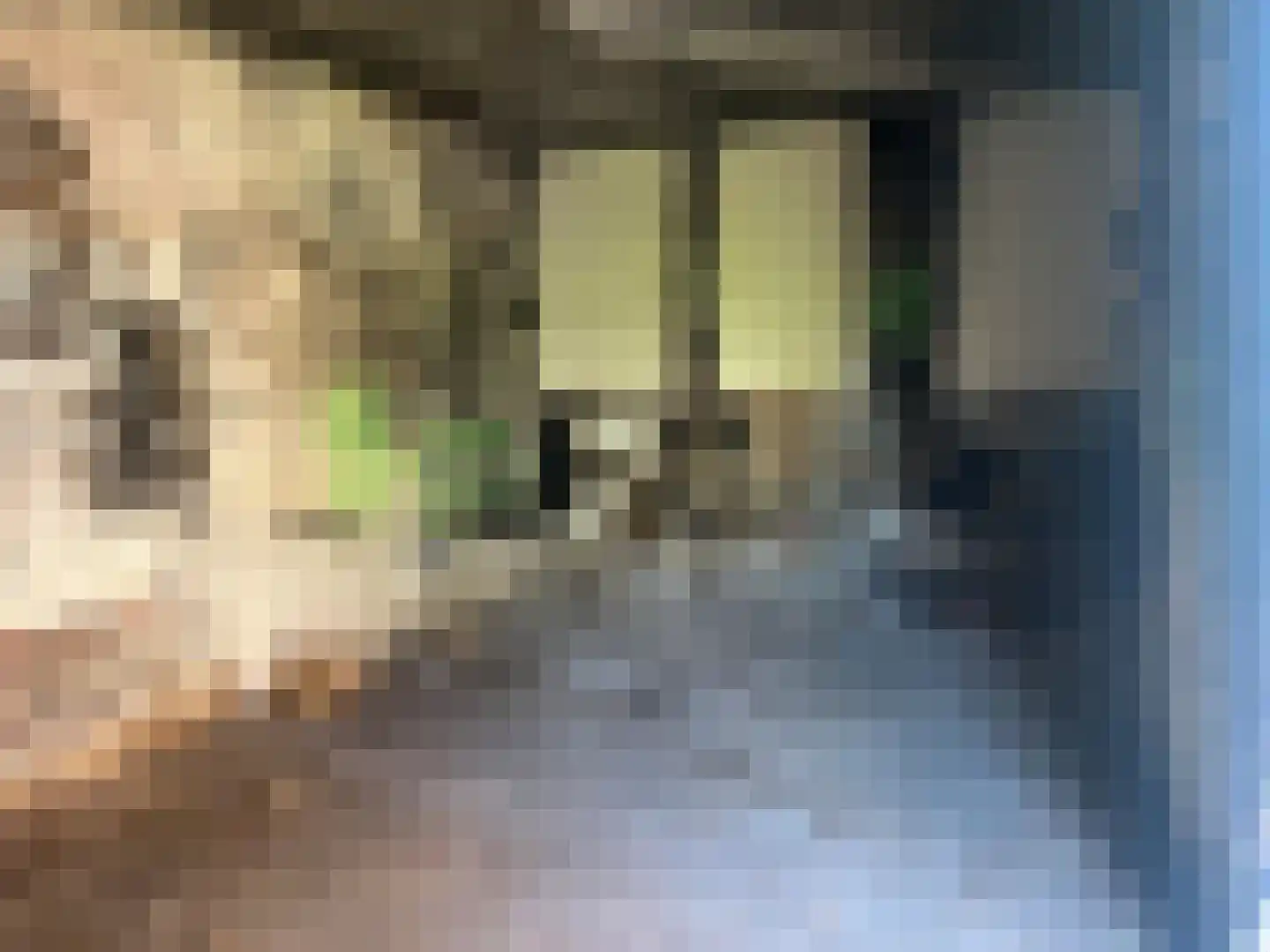Ypenmolendrift 6 Groningen thumbnail 7