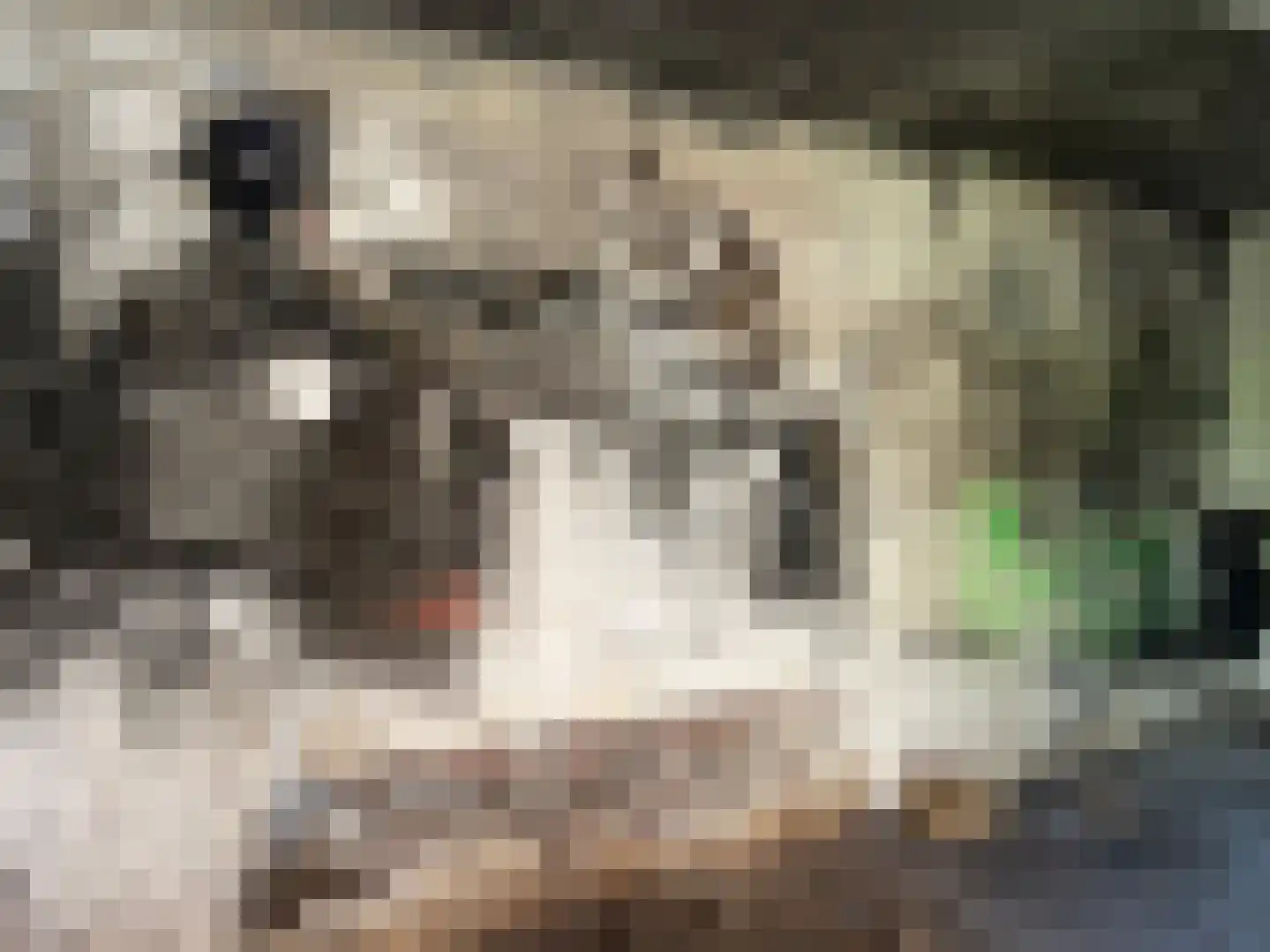 Ypenmolendrift 6 Groningen thumbnail 8