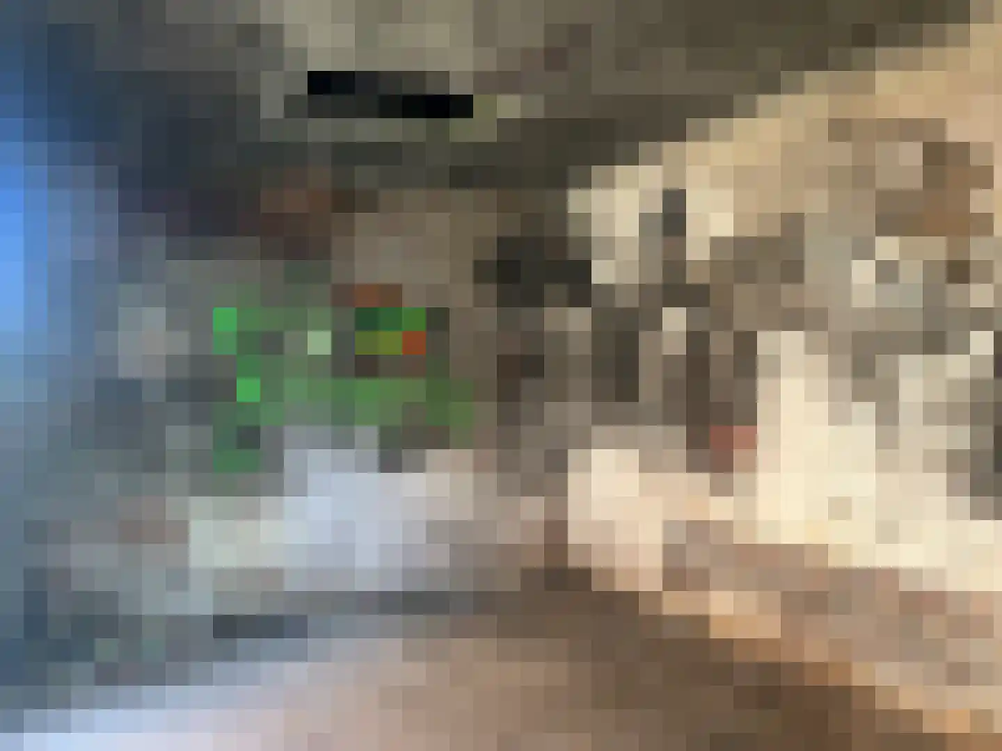 Ypenmolendrift 6 Groningen thumbnail 9