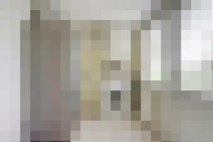 Ysgumerweg 1 A Dedgum thumbnail 25