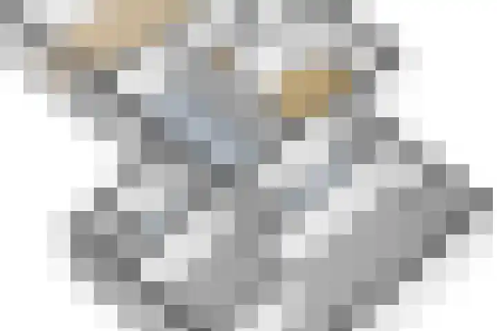 Ysgumerweg 1 A Dedgum thumbnail 34