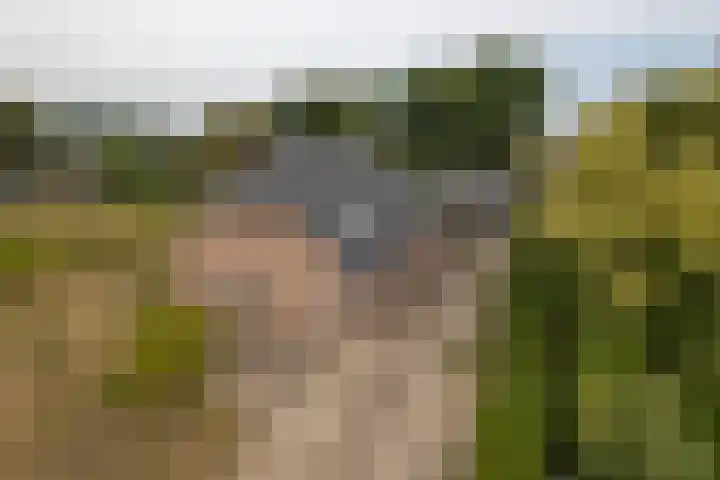 Zaagpad 3 in Silvolde