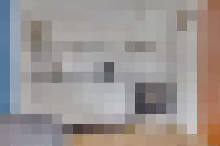 Zaaier 146 Leusden thumbnail 14