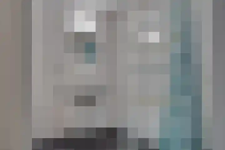 Zaaier 146 Leusden thumbnail 20