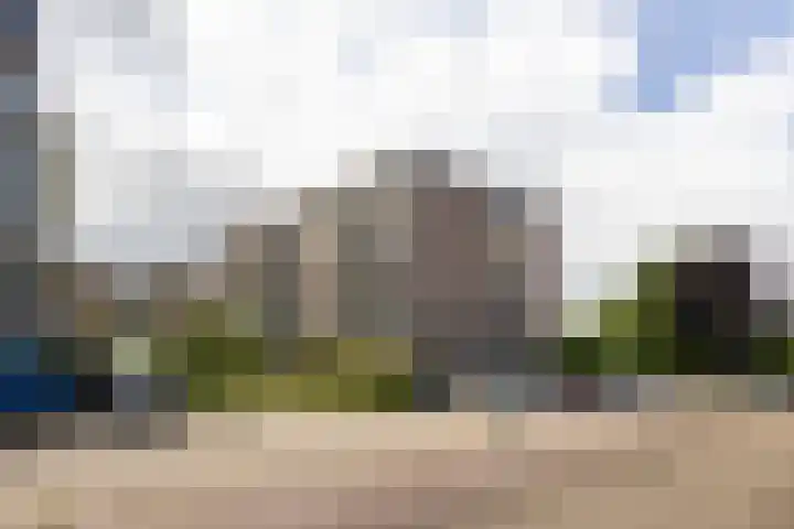 Zaaier 146 Leusden thumbnail 22