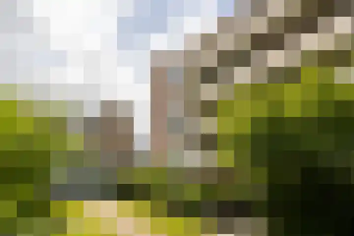 Zaaier 146 Leusden thumbnail 23
