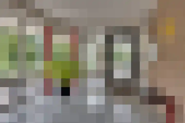 Zaaier 146 Leusden thumbnail 5