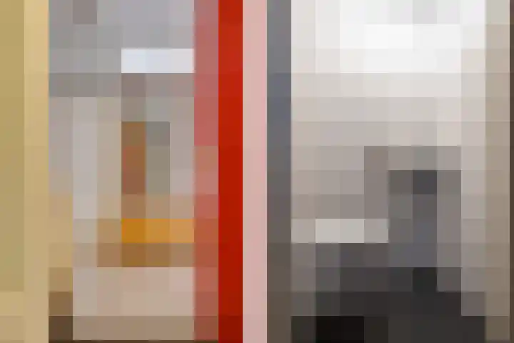 Zaaier 146 Leusden thumbnail 8