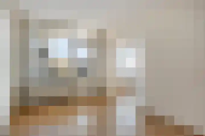Zaaier 38 Leusden thumbnail 11