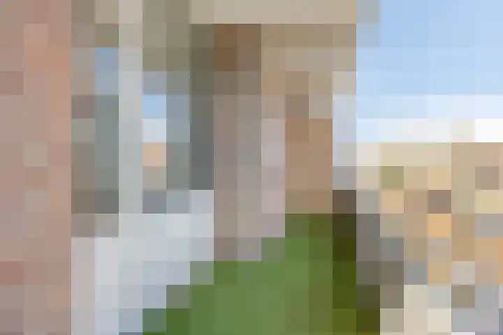 Zaaier 38 Leusden thumbnail 13