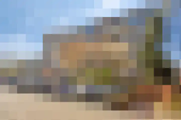 Zaaier 38 Leusden thumbnail 26