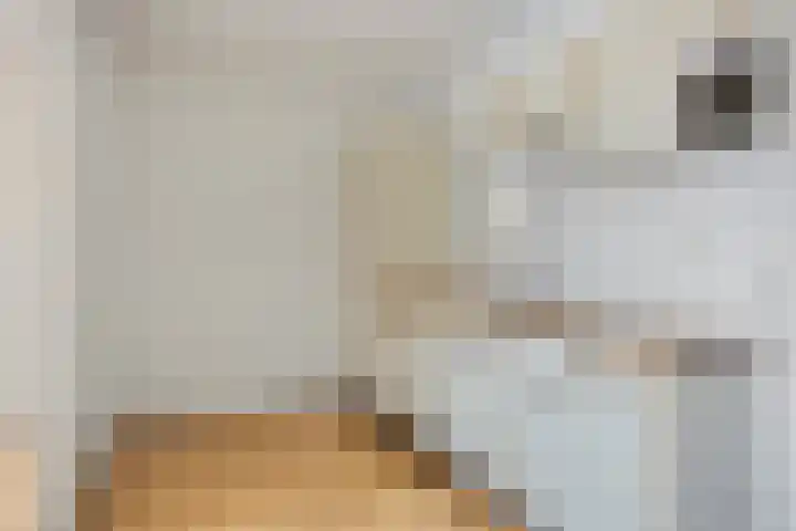 Zaaier 38 Leusden thumbnail 8