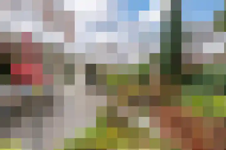 Zaaier 5 Leusden thumbnail 18