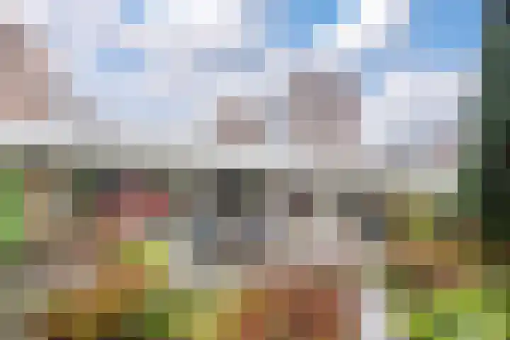 Zaaier 5 Leusden thumbnail 19