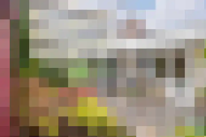 Zaaier 5 Leusden thumbnail 20