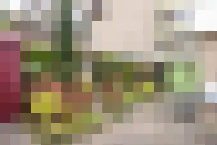 Zaaier 5 Leusden thumbnail 21
