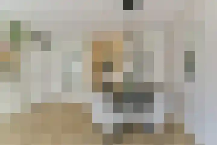 Zaaier 82 Leusden thumbnail 13