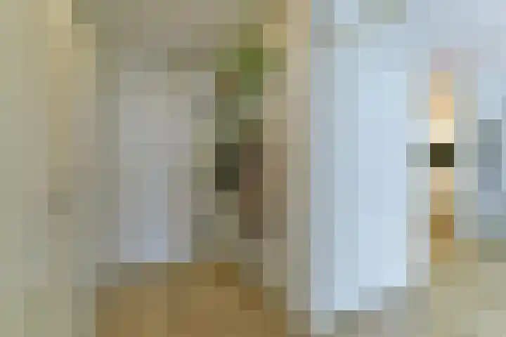 Zaaier 82 Leusden thumbnail 6