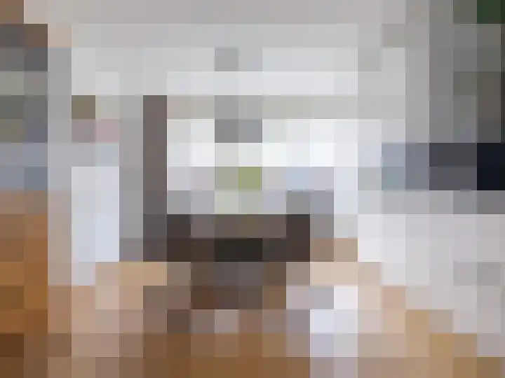 Zaailand 60 Drachten thumbnail 14