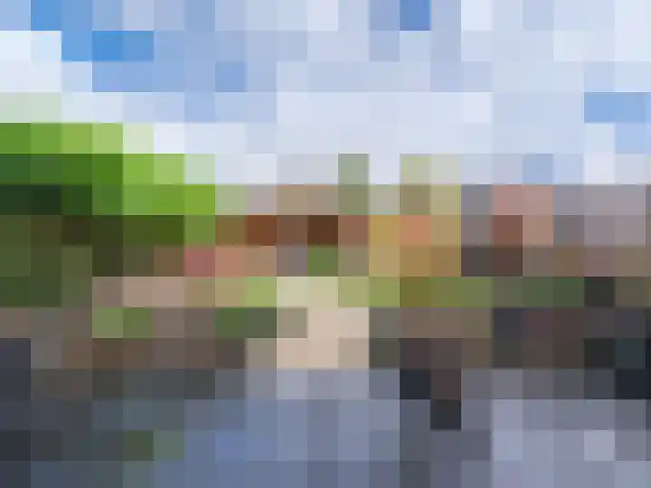Zaailand 60 Drachten thumbnail 4