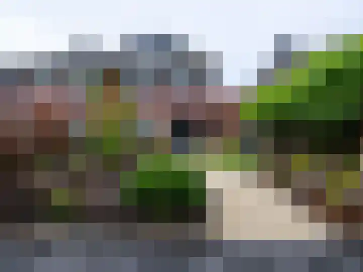 Zaailand 60 Drachten thumbnail 47